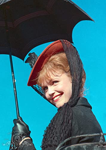 ビッグトレイルの画像