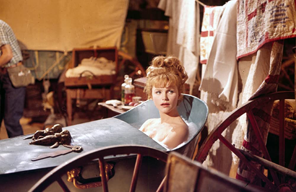 ビッグトレイルの画像