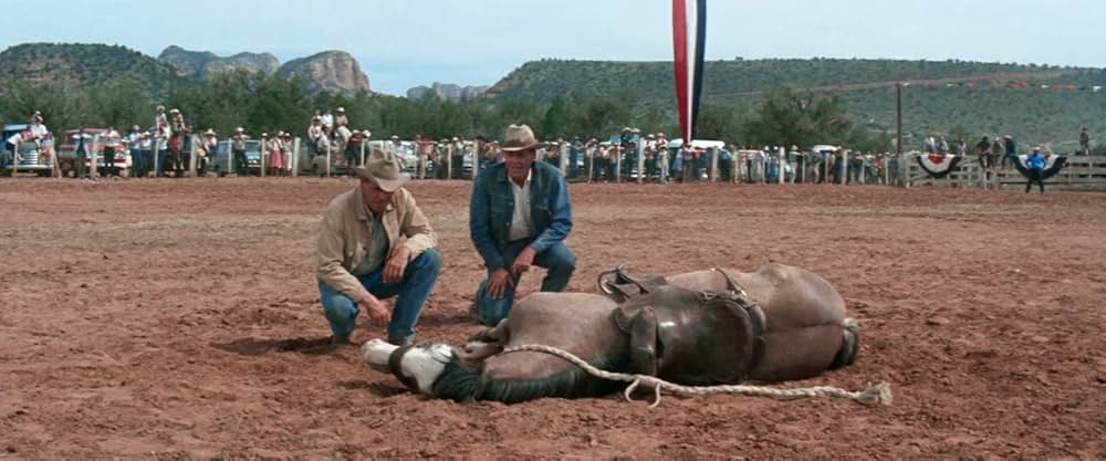 ランダースの画像