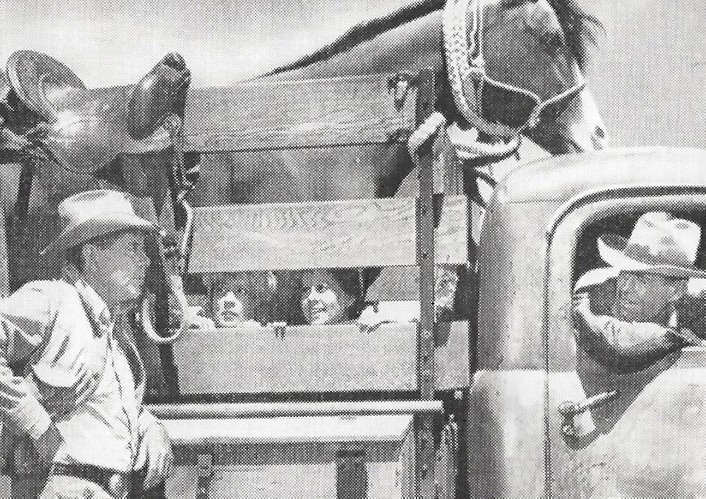 ランダースの画像