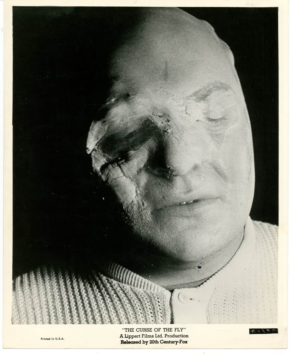 蝿男の呪いの画像