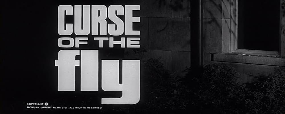 蝿男の呪いの画像