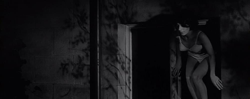 蝿男の呪いの画像