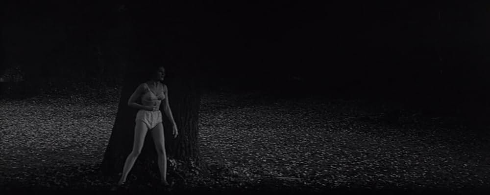 蝿男の呪いの画像