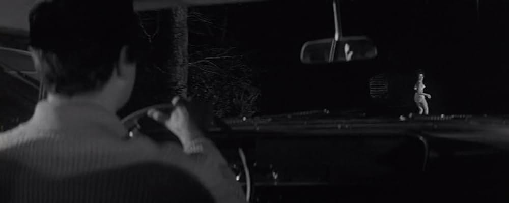 蝿男の呪いの写真