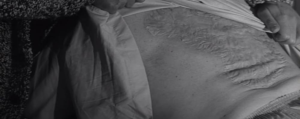 蝿男の呪いの画像