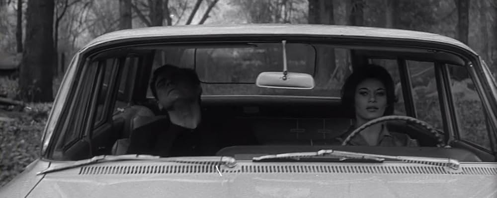 蝿男の呪いの画像