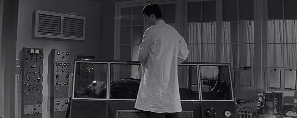 蝿男の呪いの画像