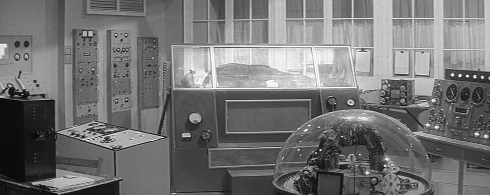 蝿男の呪いの画像