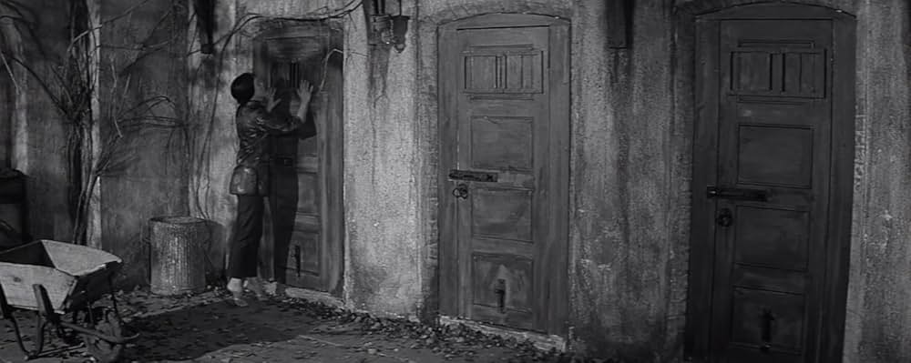 蝿男の呪いの画像