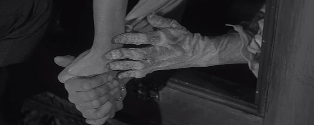 蝿男の呪いの画像