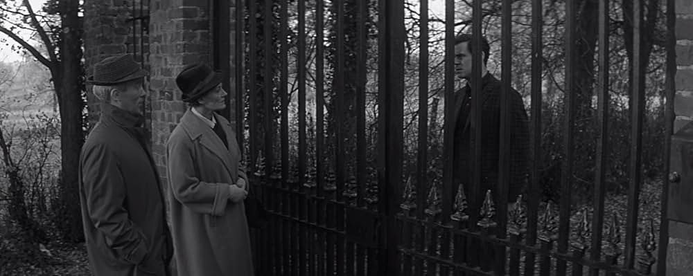 蝿男の呪いの画像