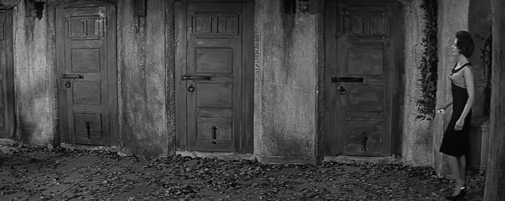 蝿男の呪いの画像