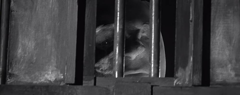 蝿男の呪いの画像