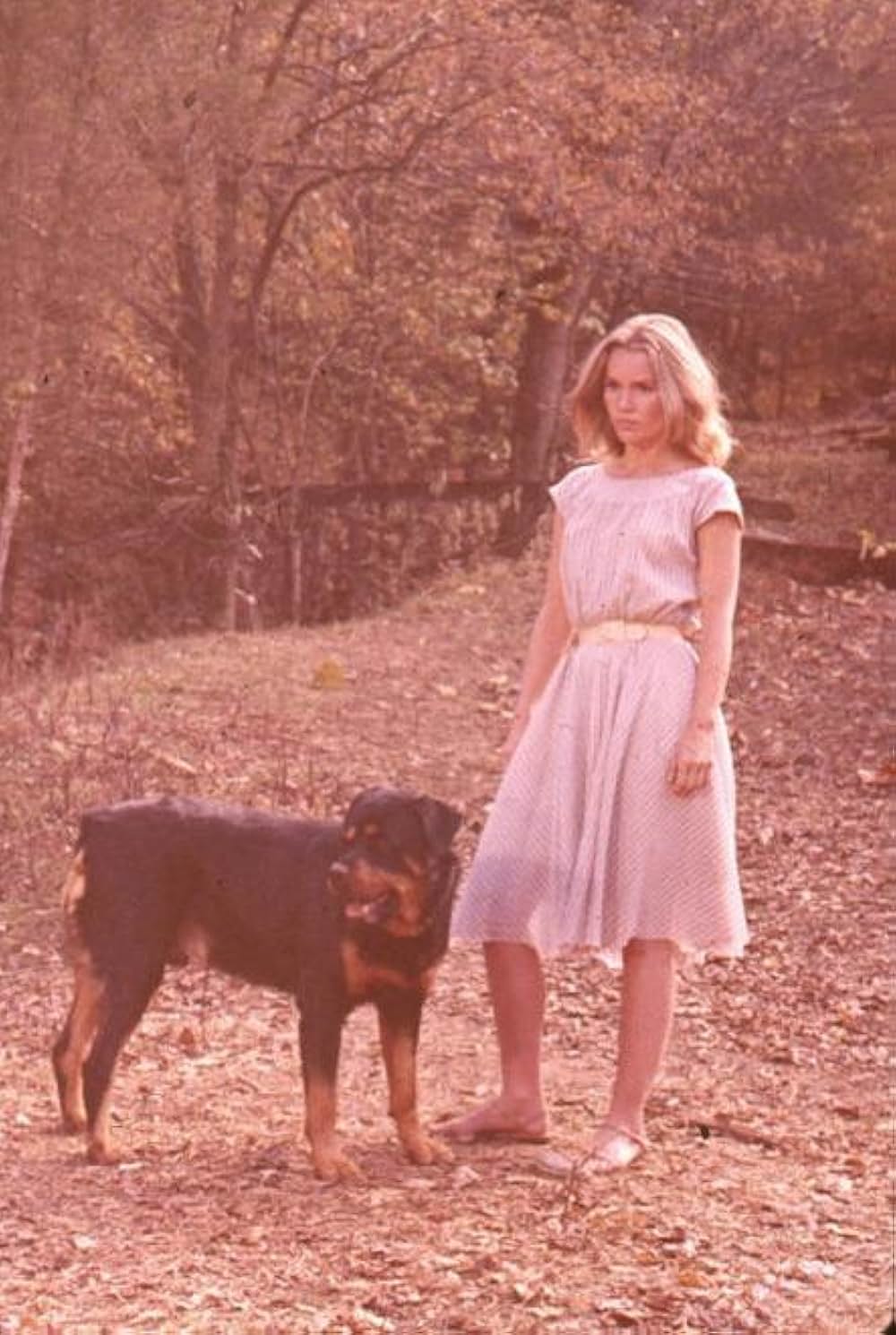 I Walk the Line（原題）の画像