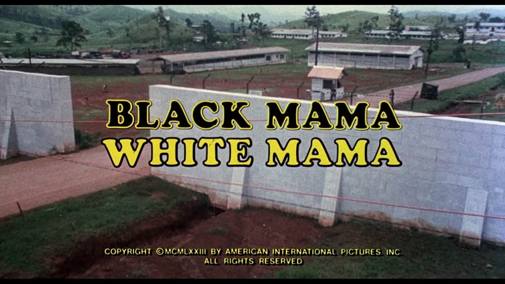 Black Mama White Mama（原題）の画像