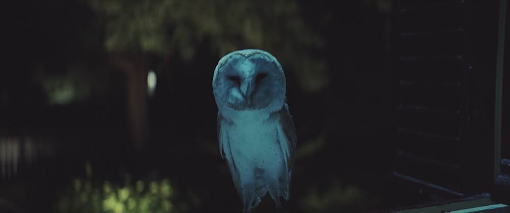 アメリカン・カーネイジの画像