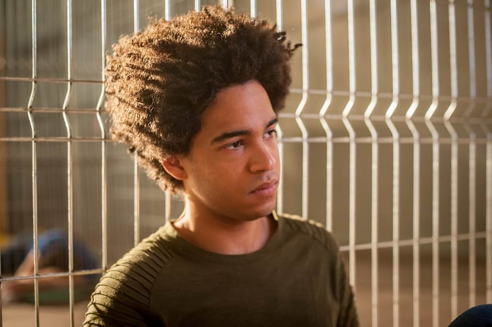 アメリカン・カーネイジの画像