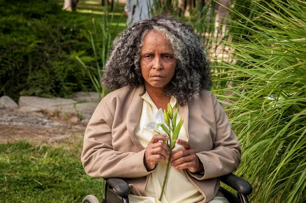 アメリカン・カーネイジの画像