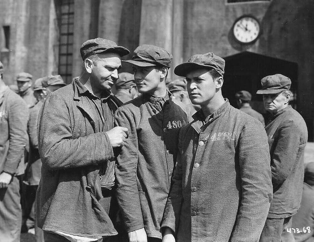 ビッグ・ハウスの画像