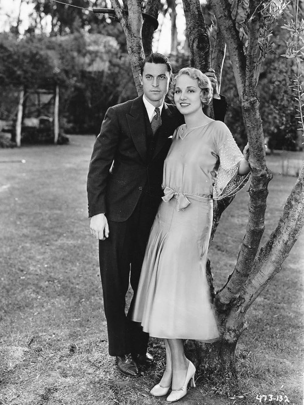 ビッグ・ハウスの画像