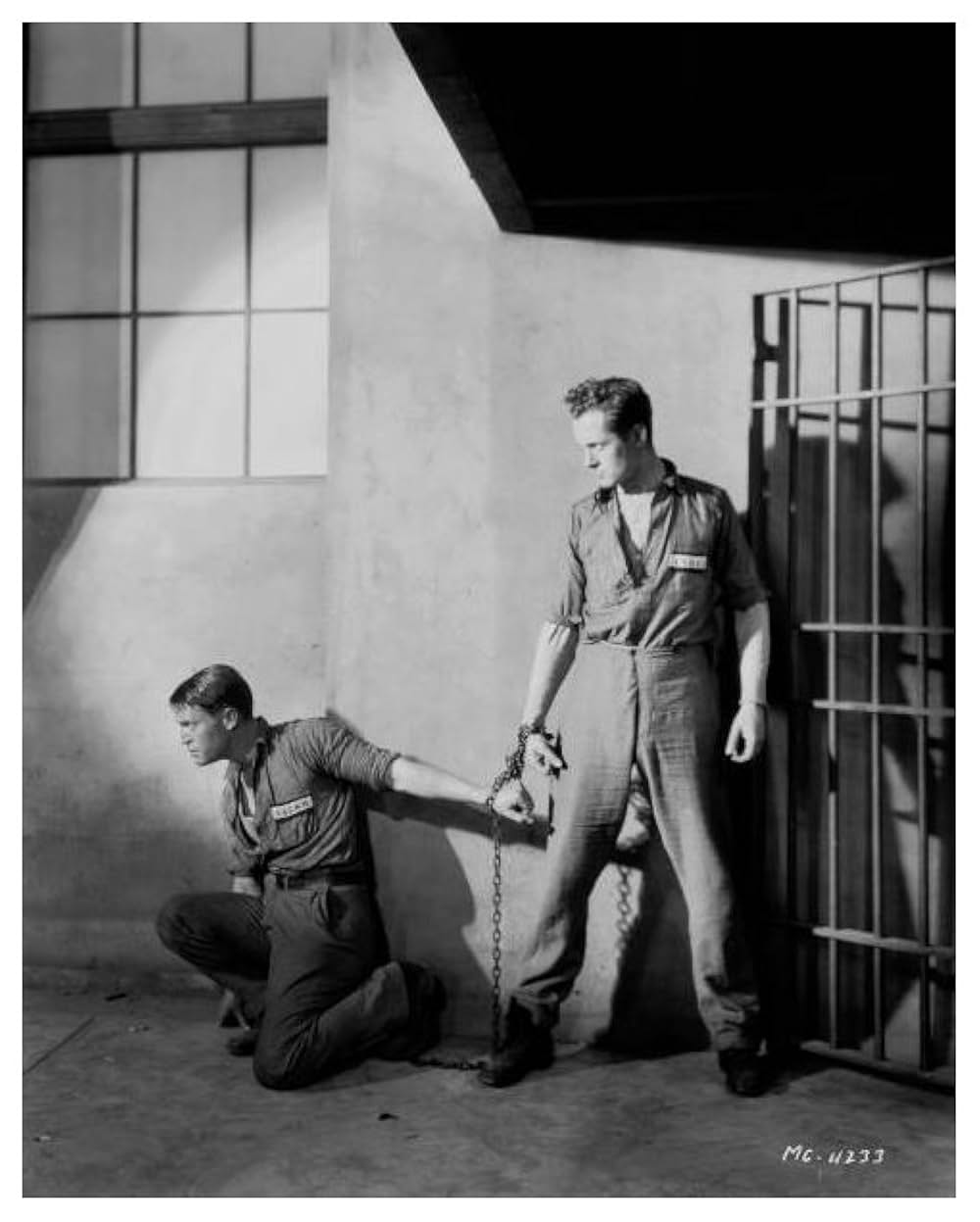 ビッグ・ハウスの画像