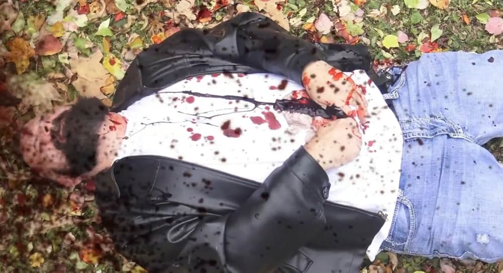 Catnado（原題）の画像