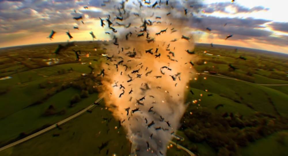 Catnado（原題）の画像