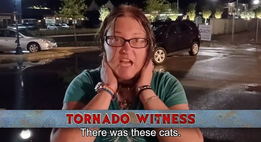 Catnado（原題）の画像