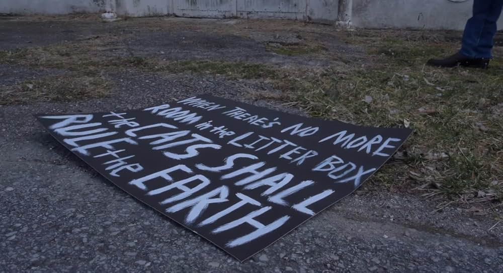 Catnado（原題）の画像