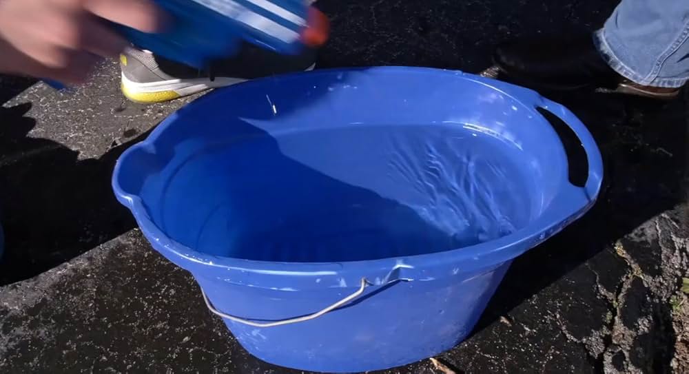 Catnado（原題）の画像