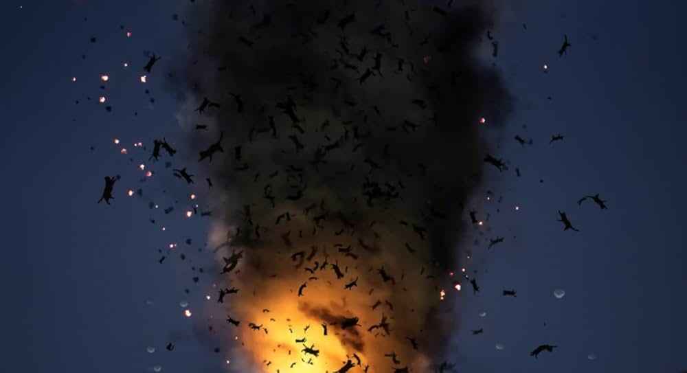 Catnado（原題）の画像