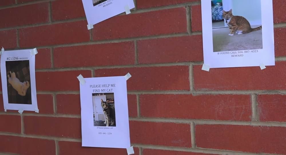 Catnado（原題）の画像