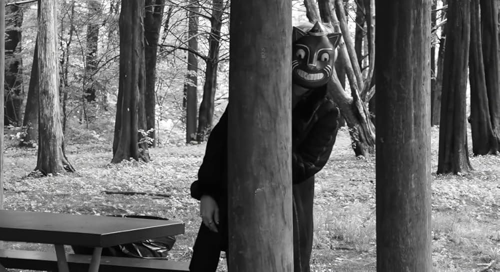 Catnado（原題）の画像