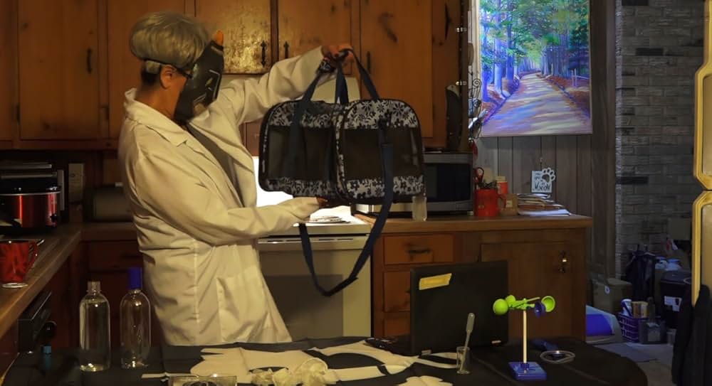 Catnado（原題）の画像