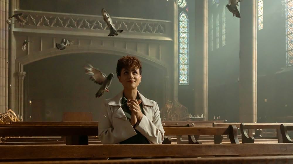 ザ・キラー／ジョン・ウー 暗殺者の挽歌の画像