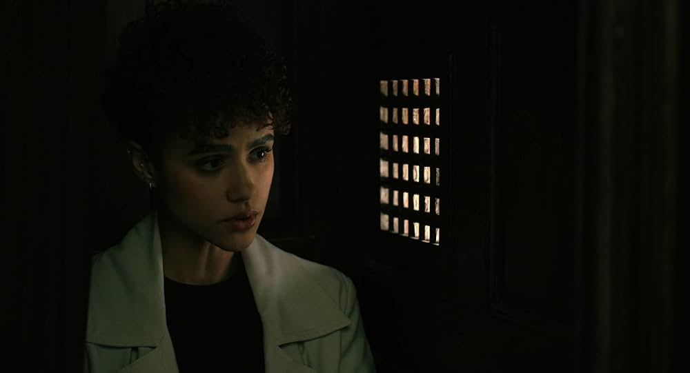 ザ・キラー／ジョン・ウー 暗殺者の挽歌の画像