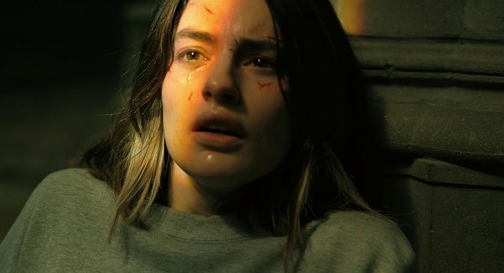 ザ・キラー／ジョン・ウー 暗殺者の挽歌の画像