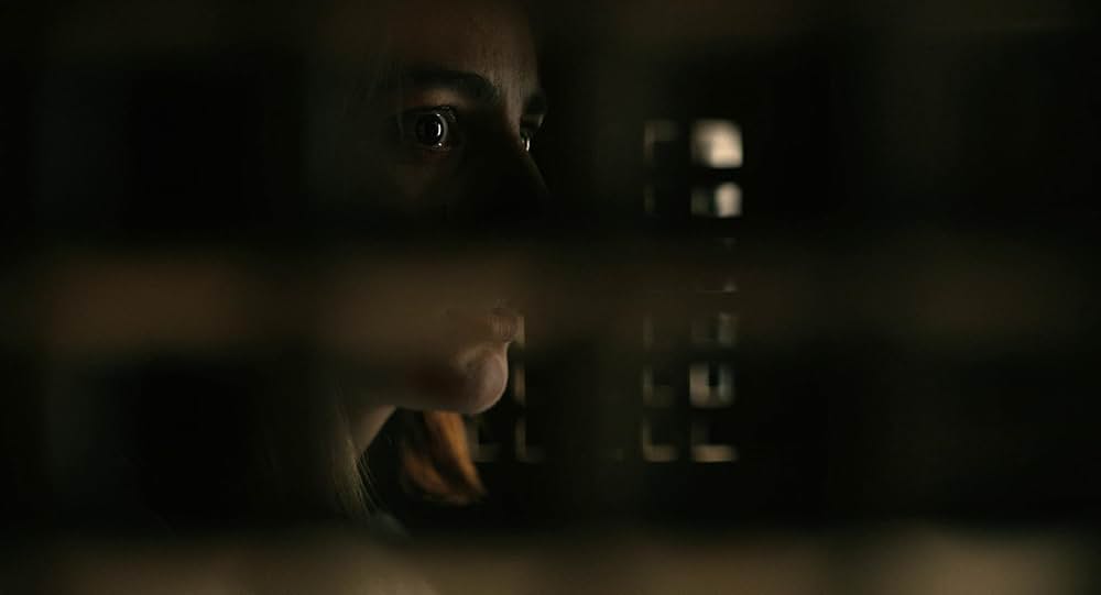 ザ・キラー／ジョン・ウー 暗殺者の挽歌の画像