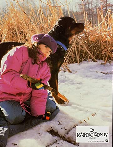 オーメン4の画像