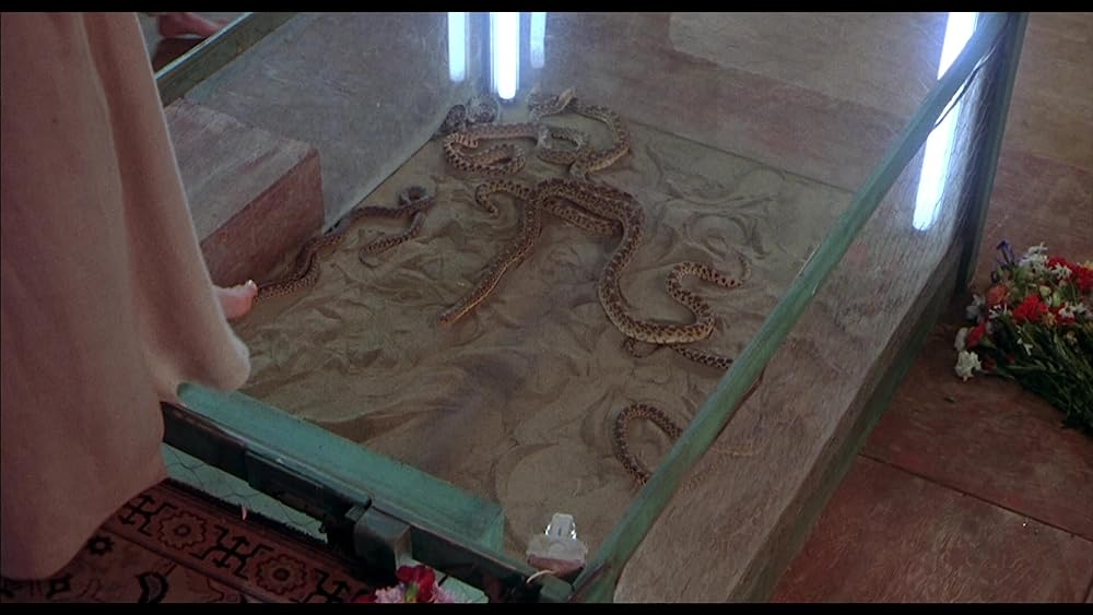 オーメン4の画像