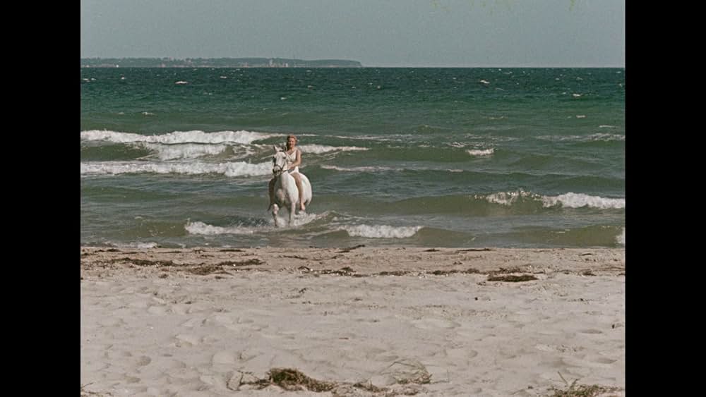 Opfergang（原題）の画像