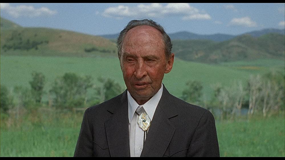 ナポレオン・ダイナマイト／バス男の画像