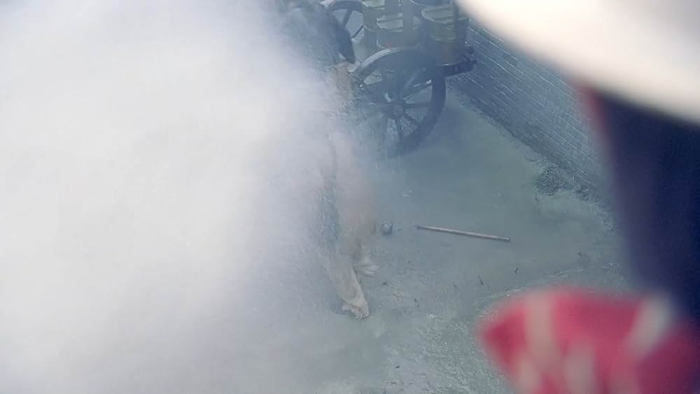 ハッスル・キングの画像