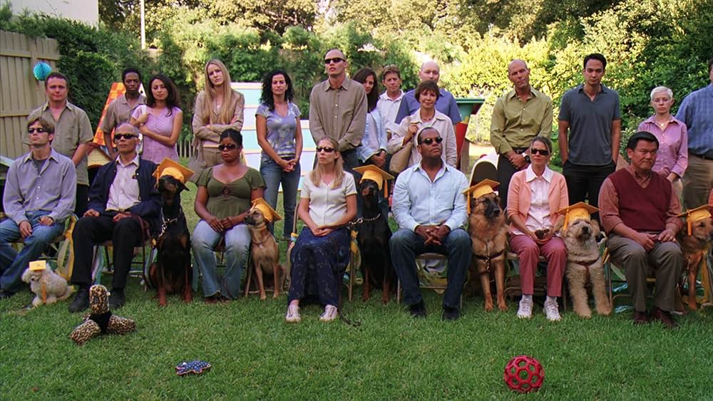 スプリング・ブレイクダウンの画像