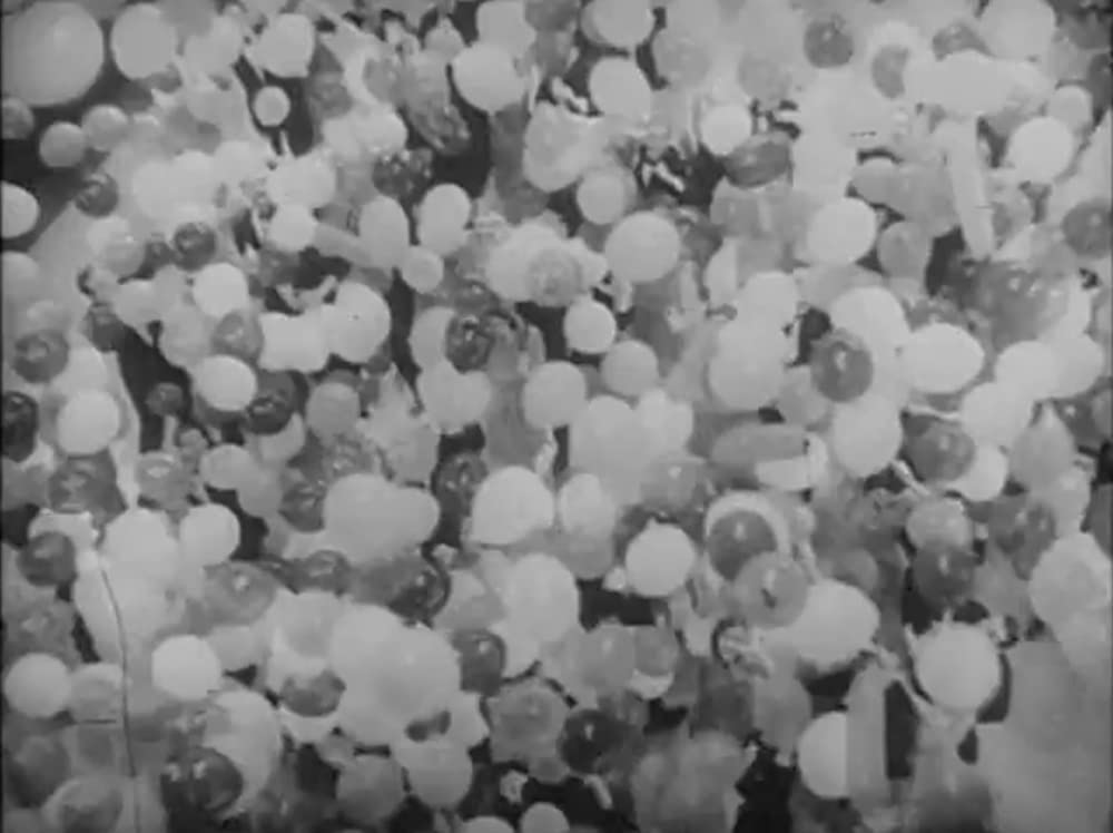 踊る娘たちの画像