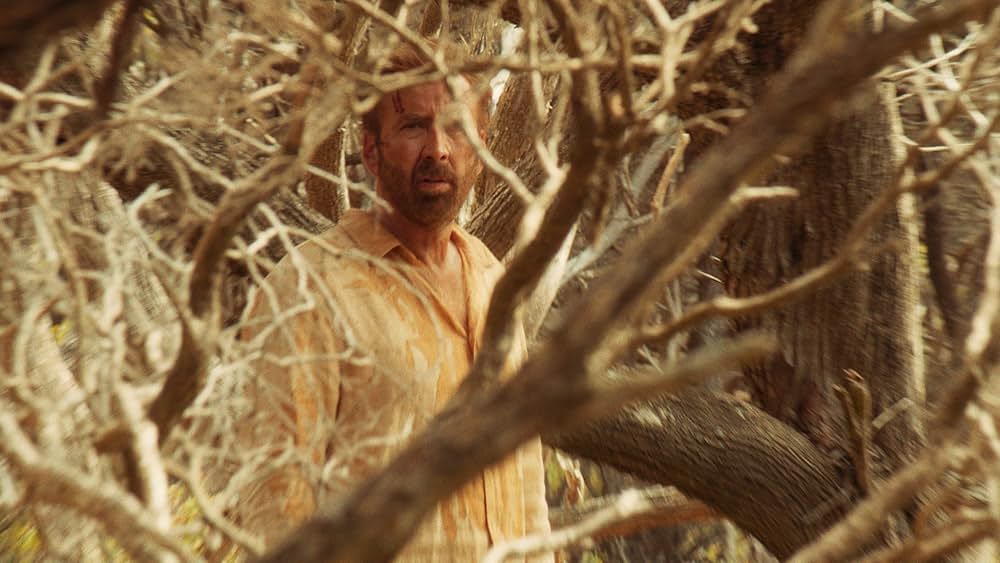 The Surfer（原題）の画像