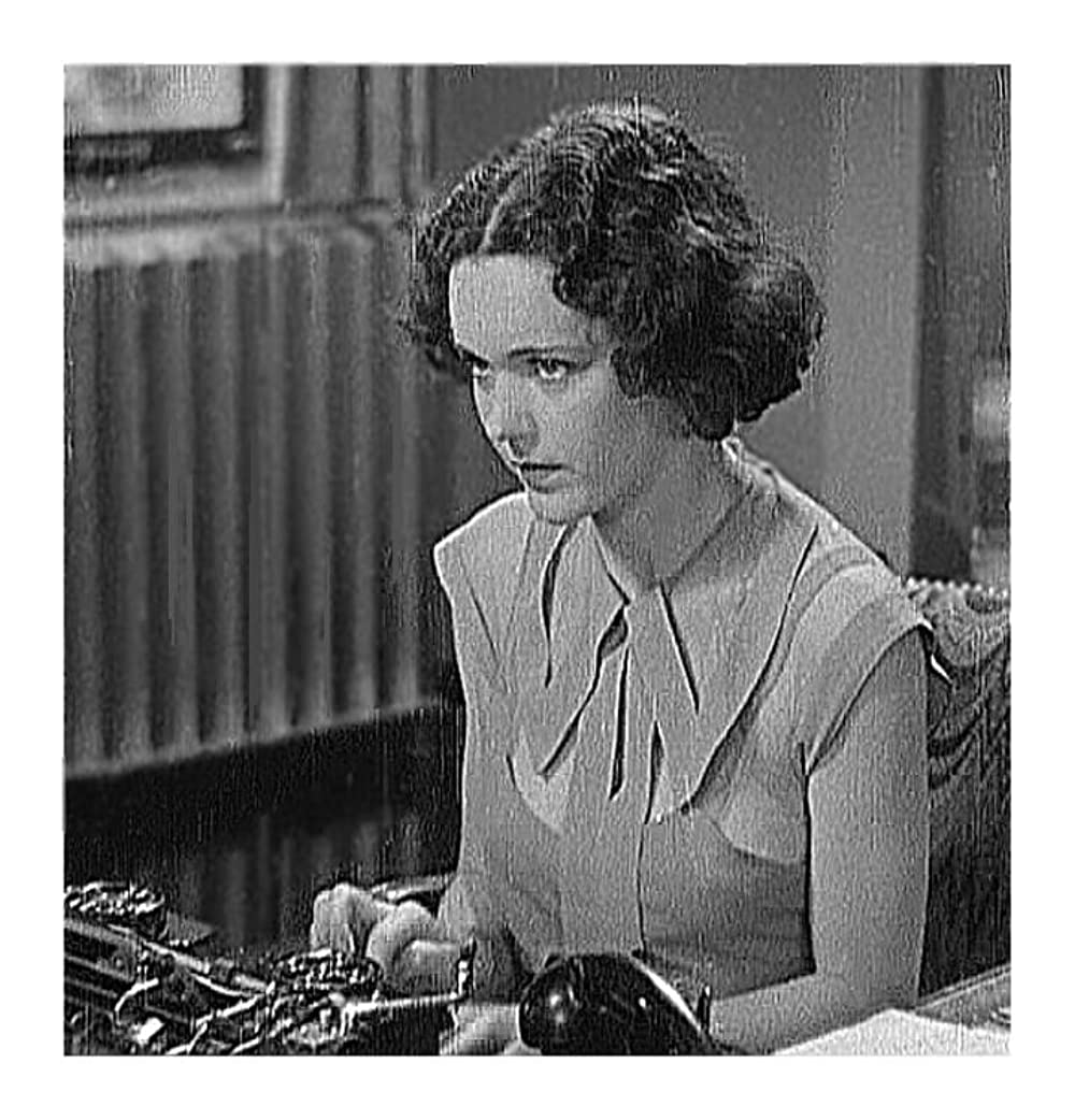 摩天楼の狼の画像