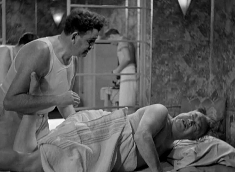 摩天楼の狼の画像