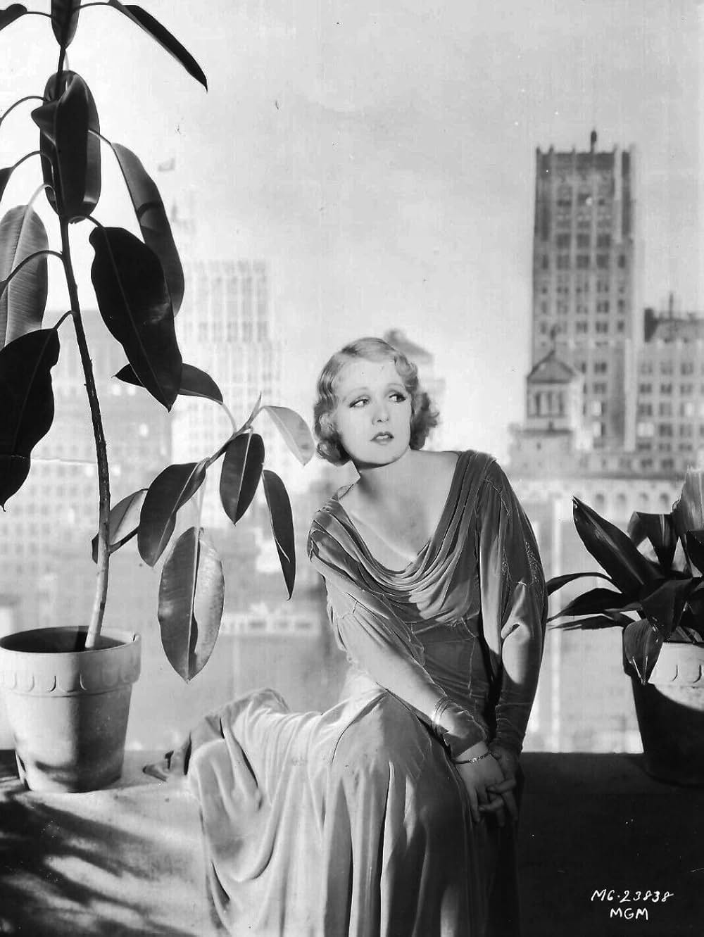 摩天楼の狼の画像